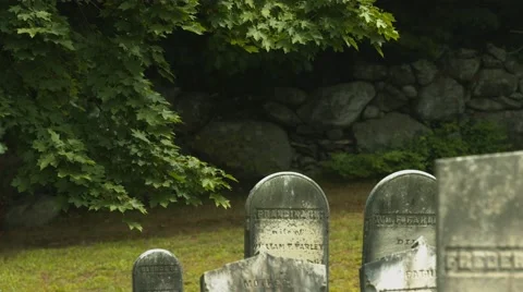 Tree with Headstone in Cemetery Stock Footage 40909476