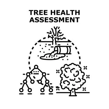 Tree health assessment process evaluating environmental impact Stock Illustration