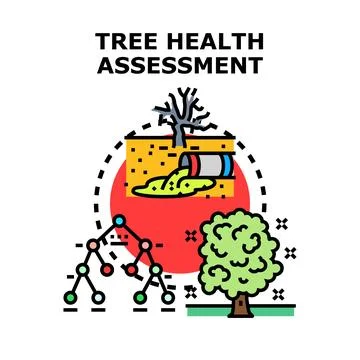 Tree health assessment process evaluating environmental impact Stock Illustration