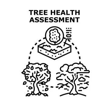Tree health assessment process examining environmental factors Stock Illustration