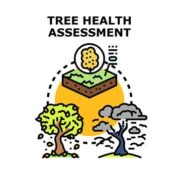 Tree health assessment process examining environmental factors Stock Illustration