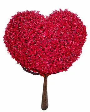 A tree with heart-shaped leaves Suitable for use in the concept of love, ro.. Stock Photos