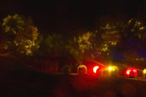 The tree is highlighted in red and orange in the dark. art insta Stock Photos