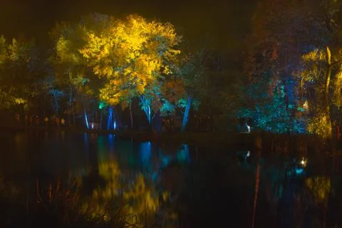 The tree is highlighted in red and orange in the dark. art insta Stock Photos