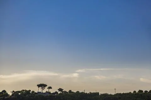 A tree on a hill with a blue sky in the background Stock Photos