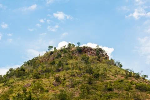 Tree on hill with blue sky. Foto stock