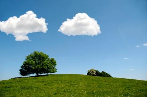 Tree on hill with clouds Stock Photos