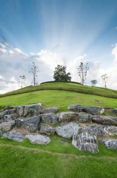 Tree on hill with cloudy blue sky and sunbeam Stock Photos