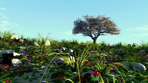 Tree hill Stock Footage 314812971