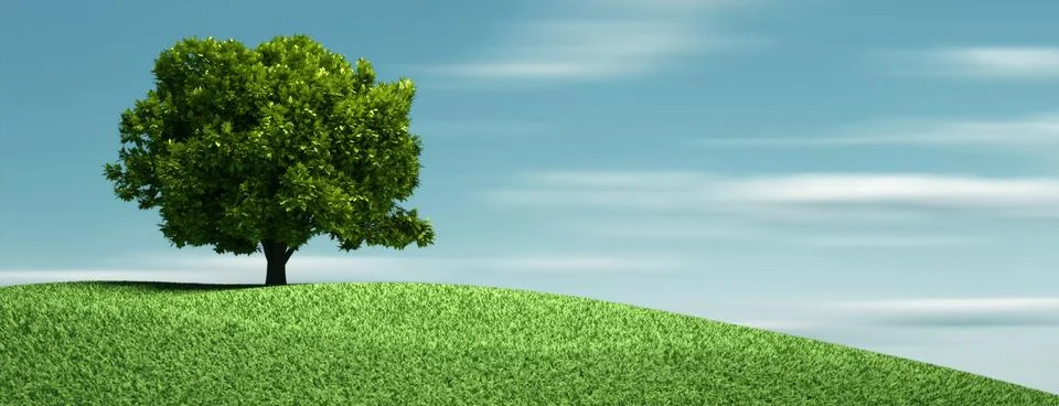 A tree on hill Stock Illustration