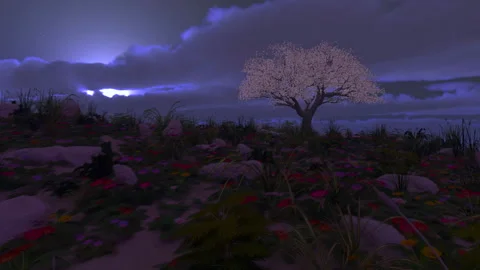 Tree hill night Stock Footage 314812985