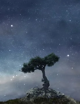 Tree on a hill Stock Photos