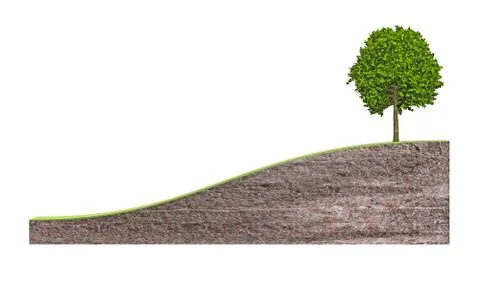 Tree on hill sectional Stock Illustration