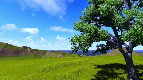 Tree on a hill,ocean and puffy clouds Video stock 59137403