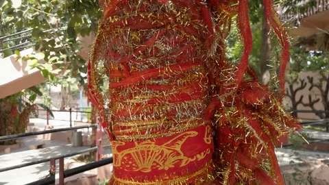 A Tree in a Hindu Temple 動画素材 194407368