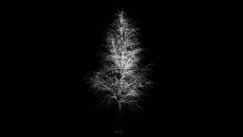 Tree Hologram 3d Stock Footage 146343335