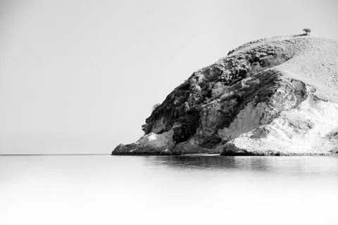 Tree of hope Stock Photos