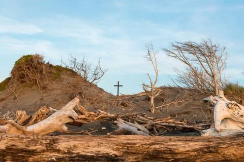 Tree of Hope Stock Photos