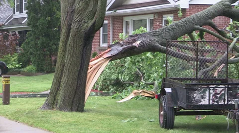 Tree on house after severe thunderstorm causes damage. Stock Footage 39634067