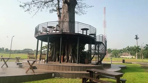 Tree house against blue sky Stock Footage 296874417