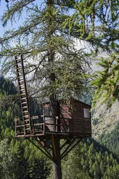 Tree house in the alps Foto stock