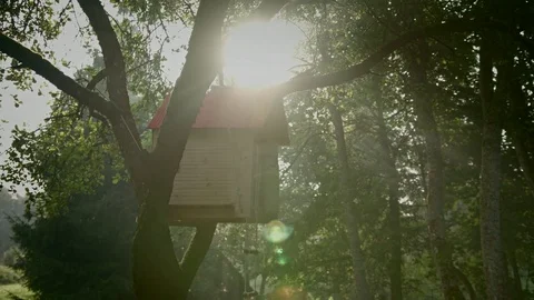 Tree house in contre-jour, medium shot Stock Footage 80755583