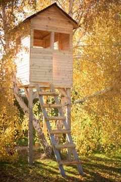 Tree house in the fall Foto stock