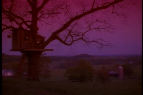 Tree house Stock Footage 496783