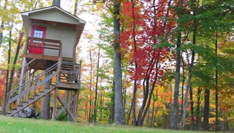 Tree house Stock Footage 8840072