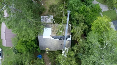 Tree On House Stock Footage 97535071