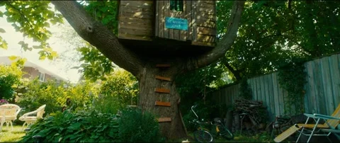 Tree house Stock Footage 155551445
