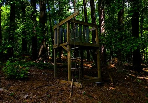 Tree house in the forest Stock Photos
