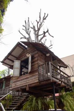 Tree house in the garden Stock Photos