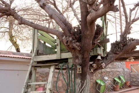 Tree House for kids in the backyard Stock Photos