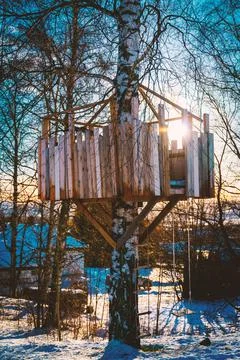 Tree house in a large tree with swing and ladder. 스톡 사진