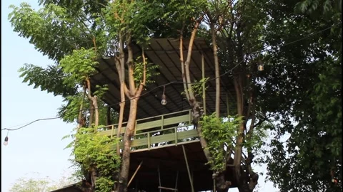 Tree house in the middle of a natural park Stock Footage 339032116