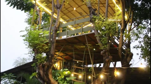 Tree house in the middle of a natural park Stock Footage 339034323