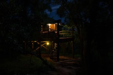 Tree House at Night Stockfoto's