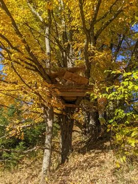 A Tree House or Tree Stand in a Forested Meadow Stock Photos