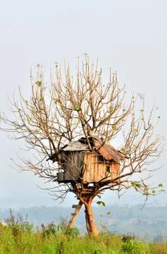 Tree house Foto stock