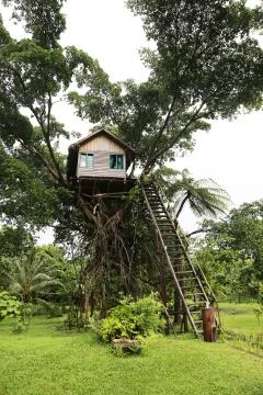 Tree house Stock Photos
