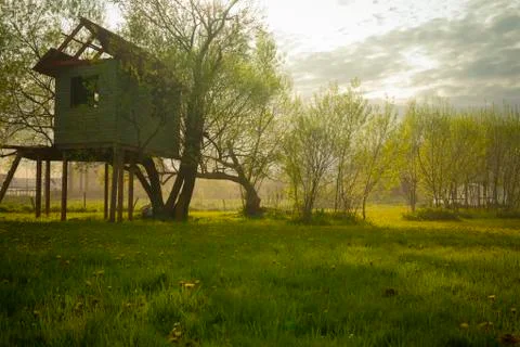 Tree house Stock Photos