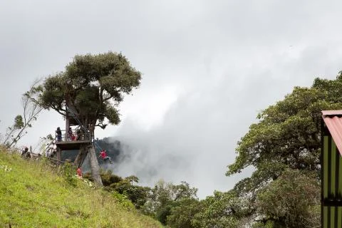 Tree house 스톡 사진