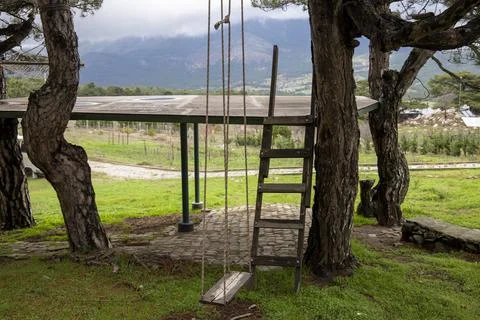Tree House Stock Photos