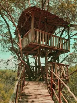 Tree house Stockfoto's