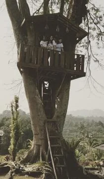 Tree house Foto stock