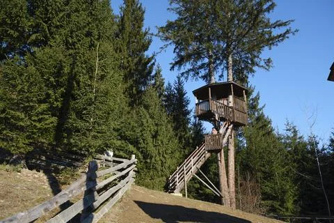 Tree house. Stock Photos