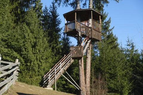 Tree house. Stock Photos