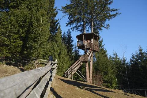 Tree house. Stock Photos
