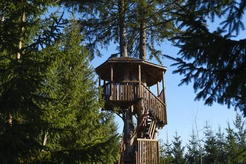 Tree house. Stock Photos